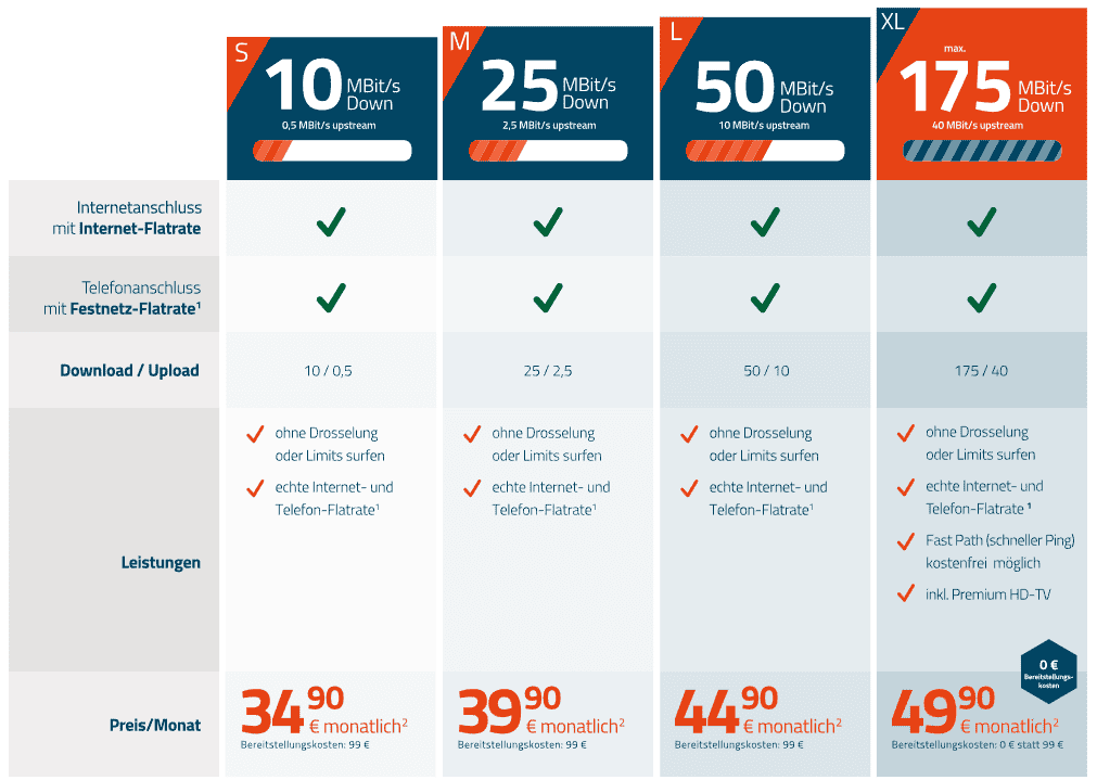 Das lokale DNS:Net-Angebot: 10 MBit/s für 34,90 €, 175 MBit/s für 49,90 € monatlich