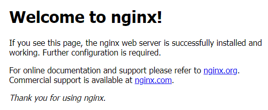 Successful nginx request