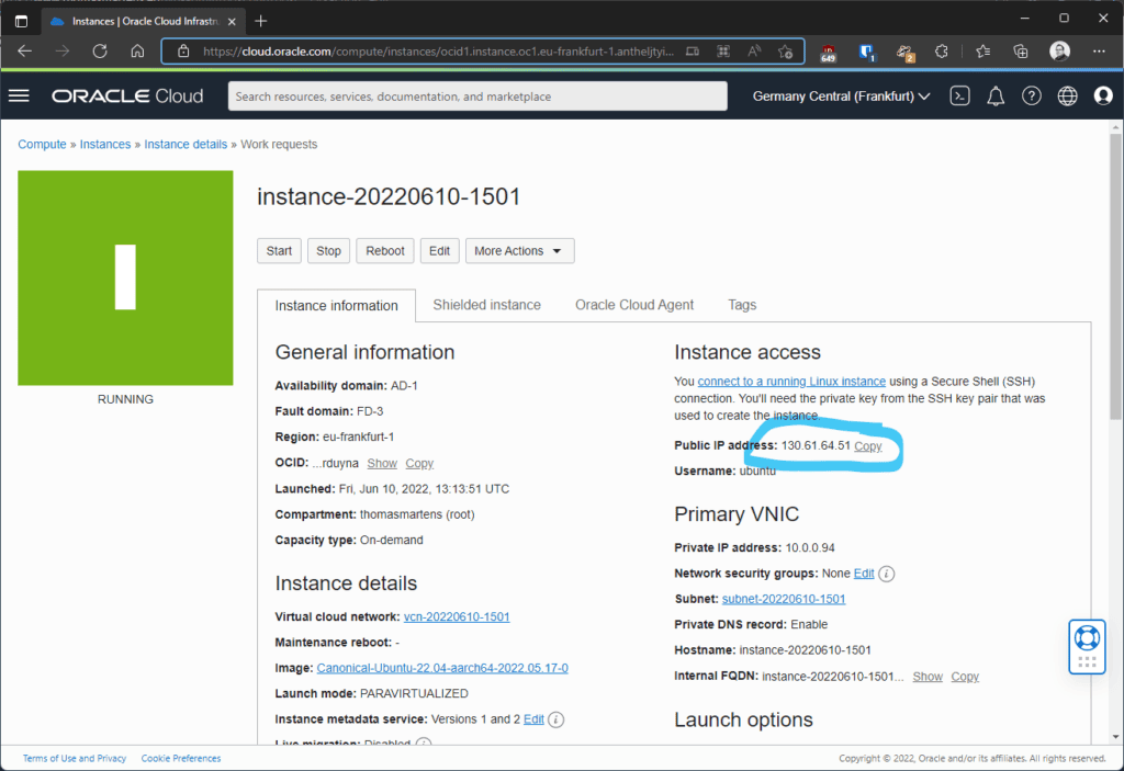 Instance details including the public IP address